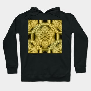 Elegant gold kaleidoscopes Hoodie